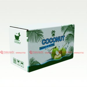 Thùng carton đựng Dừa